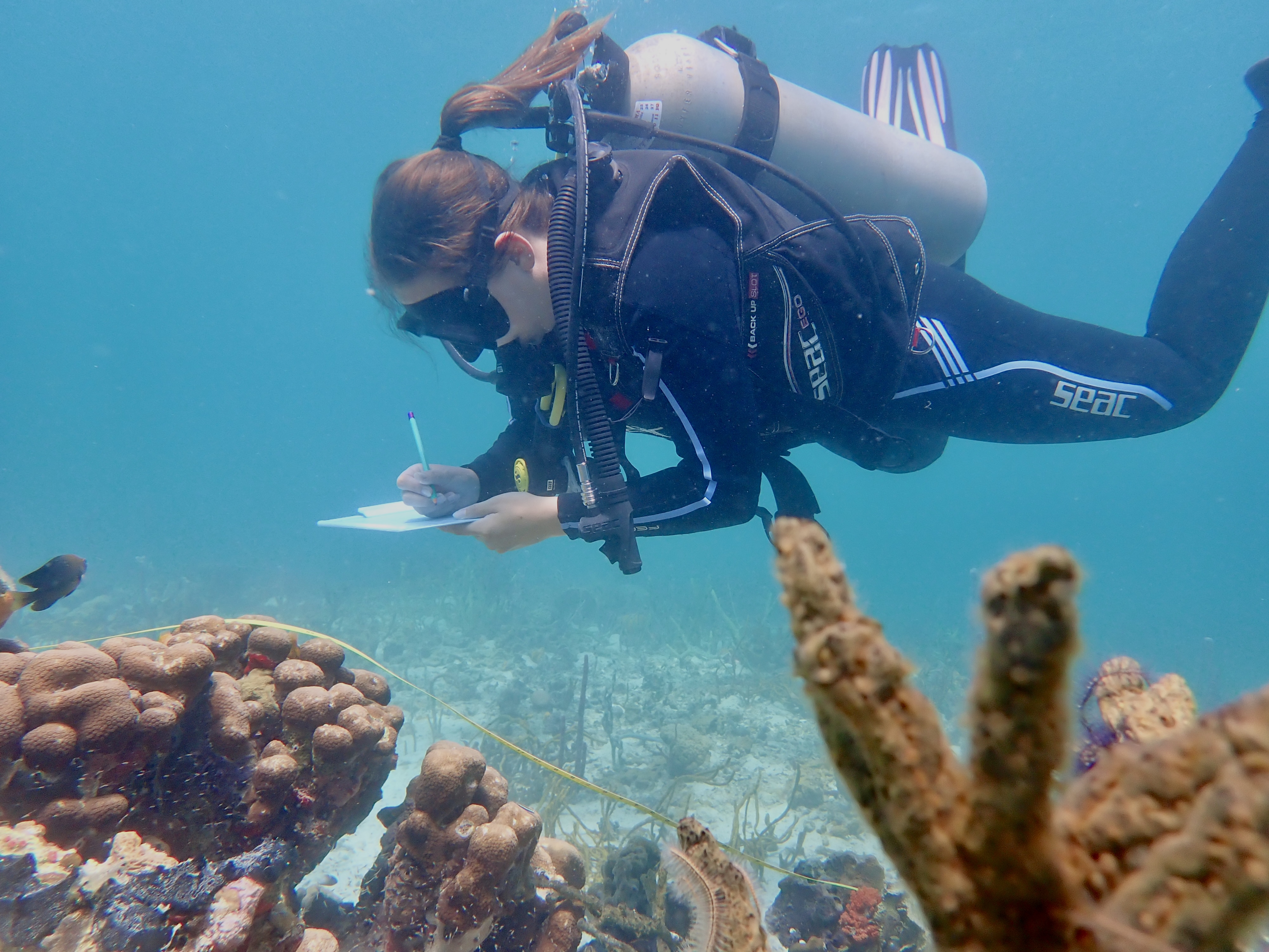expédition marine plongeur écrit sous l'eau